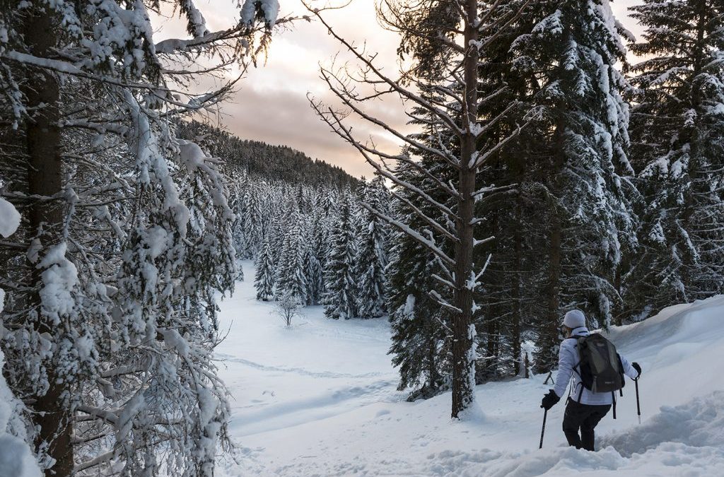 Escursioni invernali in montagna