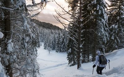 Escursioni invernali in montagna